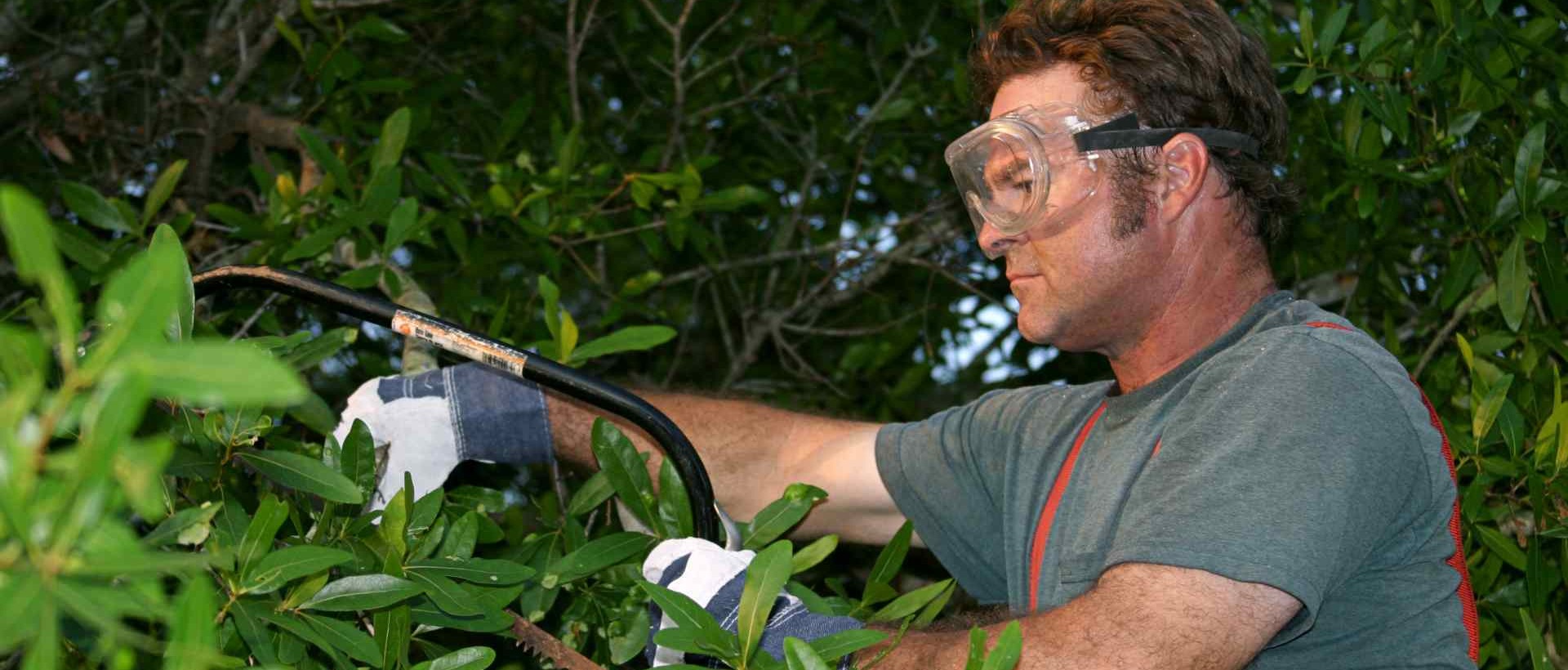 garden clearance SE16